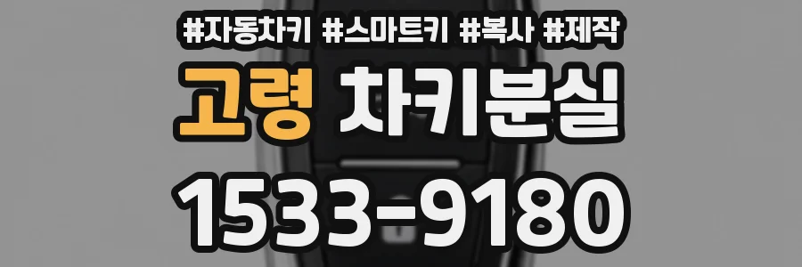 고령 차키분실