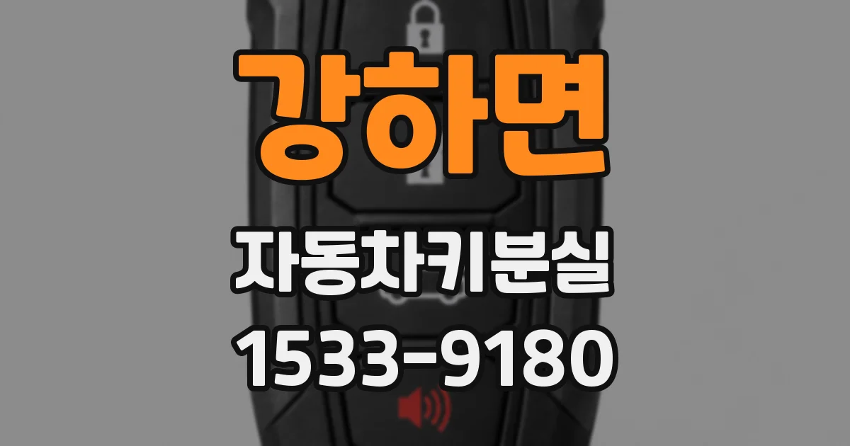 강하면 자동차키분실
