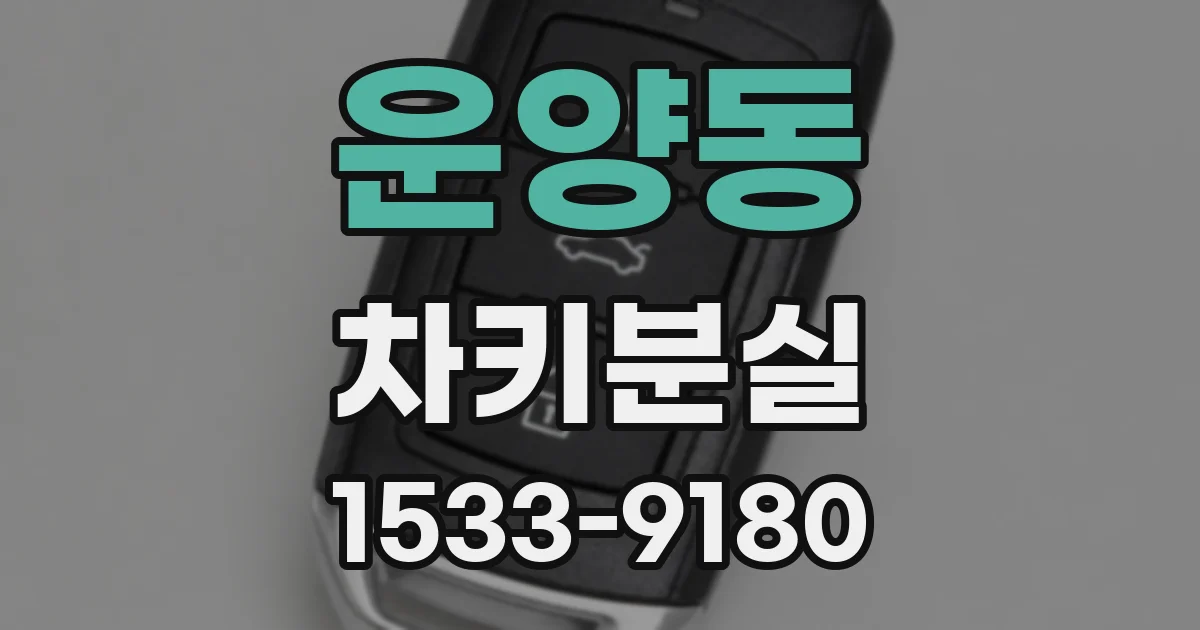 운양동 차키분실