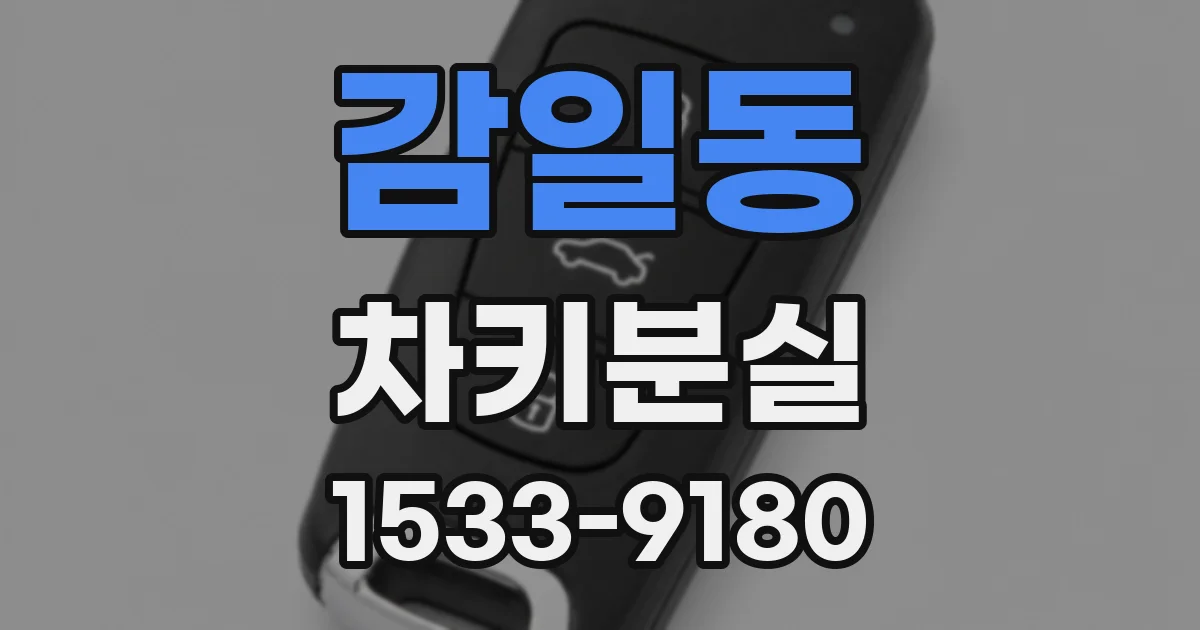 감일동 차키분실