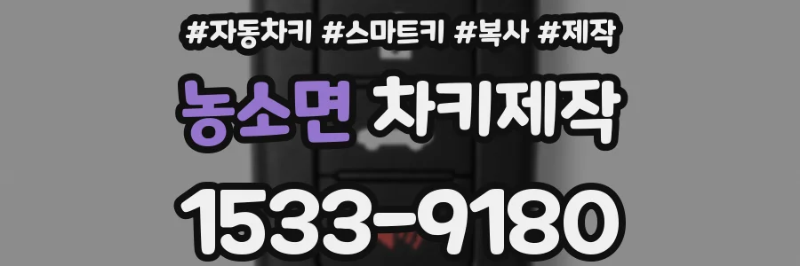 농소면 차키제작
