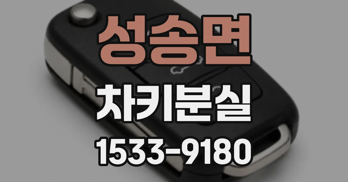 성송면 차키분실