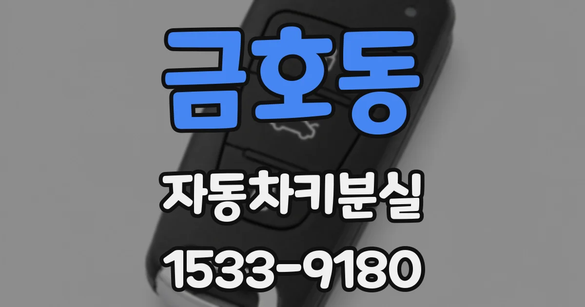 금호동 자동차키분실