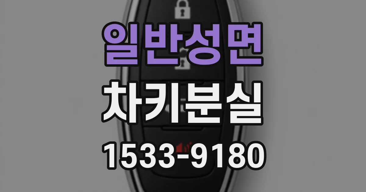 일반성면 차키분실