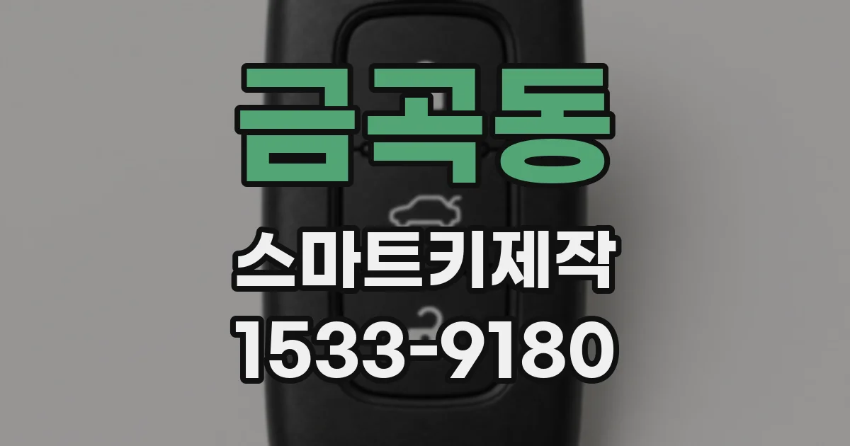 금곡동 스마트키제작