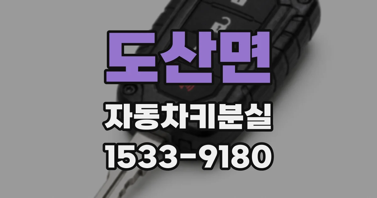 도산면 자동차키분실