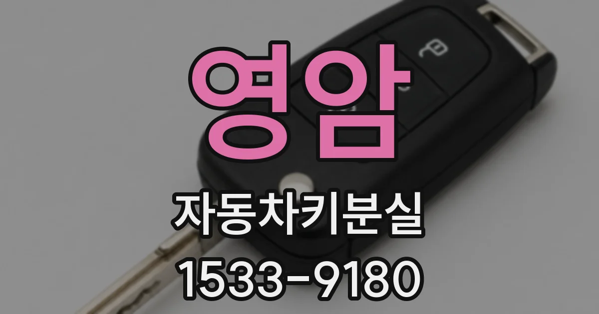 영암 자동차키분실