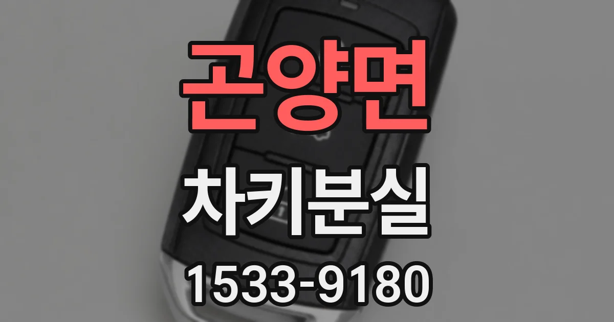 곤양면 차키분실