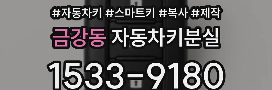 금강동 자동차키분실