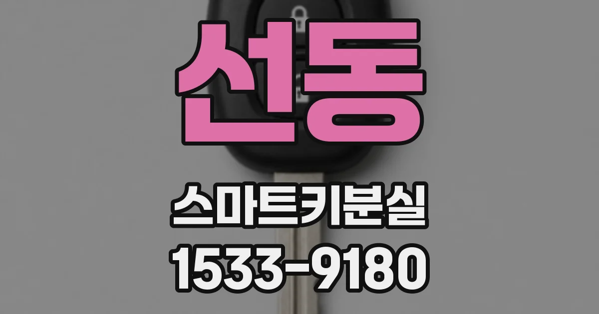 선동 스마트키분실