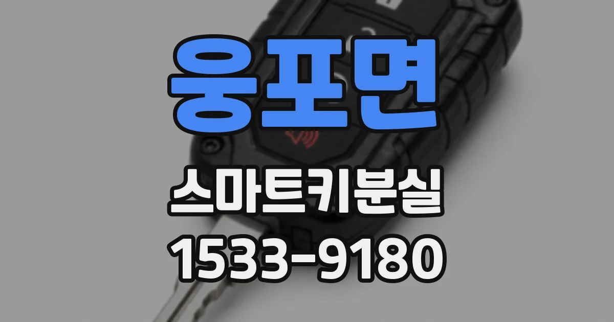 웅포면 스마트키분실