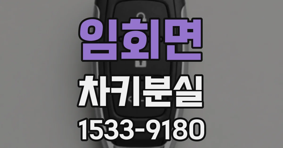 임회면 차키분실