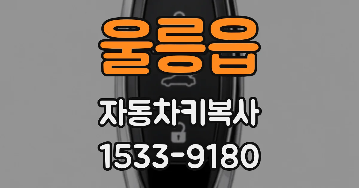 울릉읍 자동차키복사