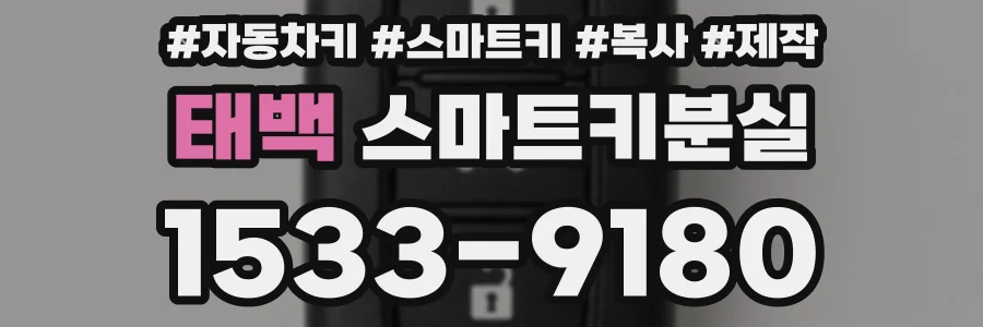 태백 스마트키분실