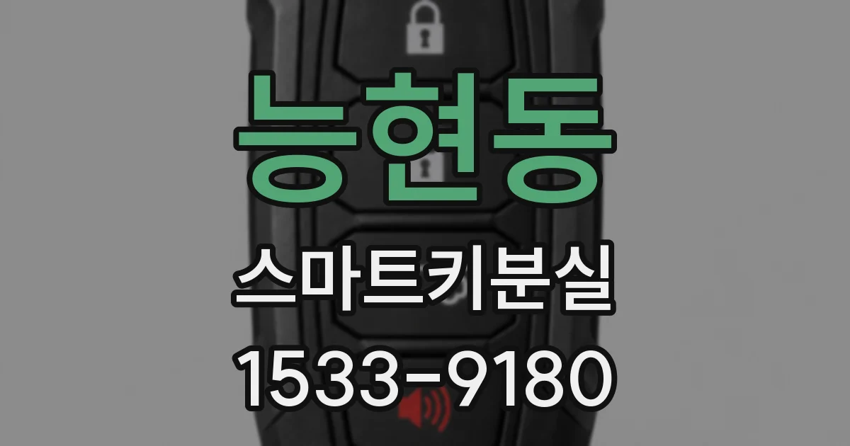 능현동 스마트키분실