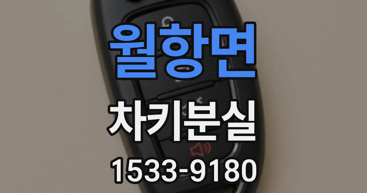 월항면 차키분실