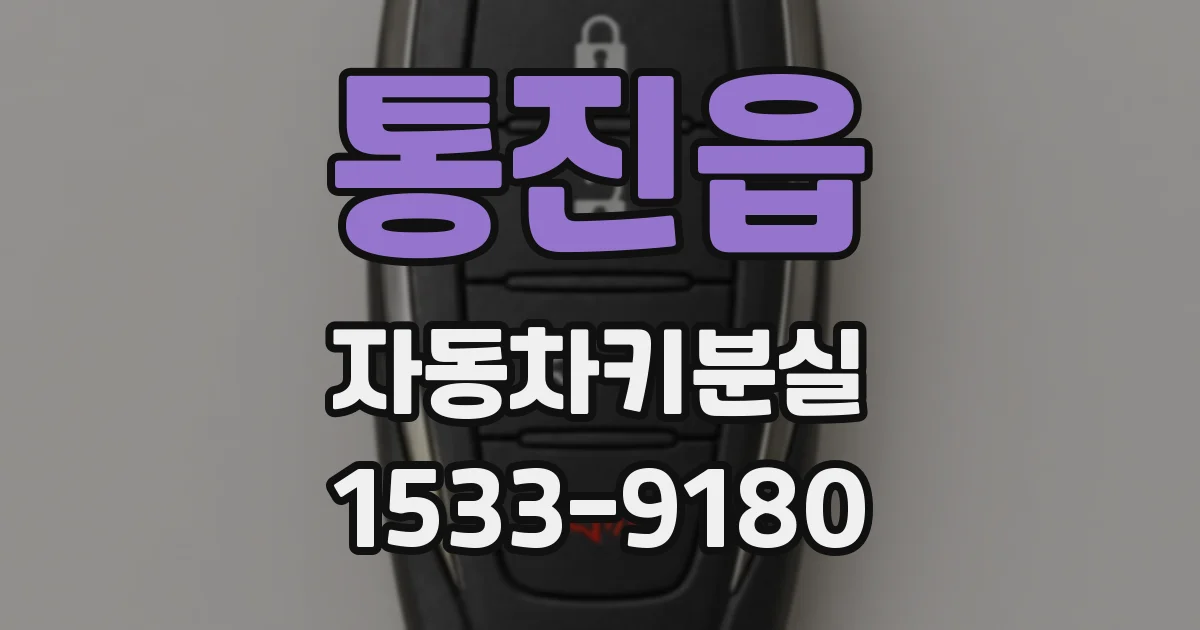 통진읍 자동차키분실