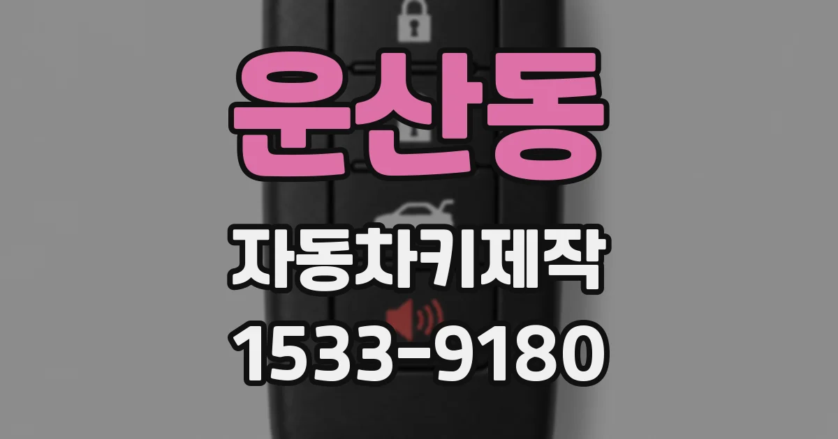 운산동 자동차키제작