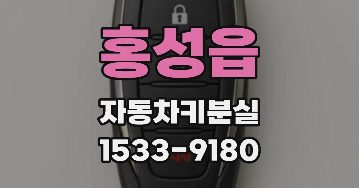 홍성읍 자동차키분실