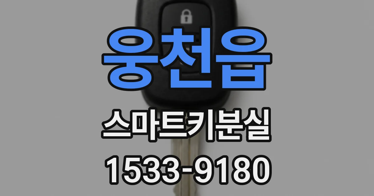 웅천읍 스마트키분실