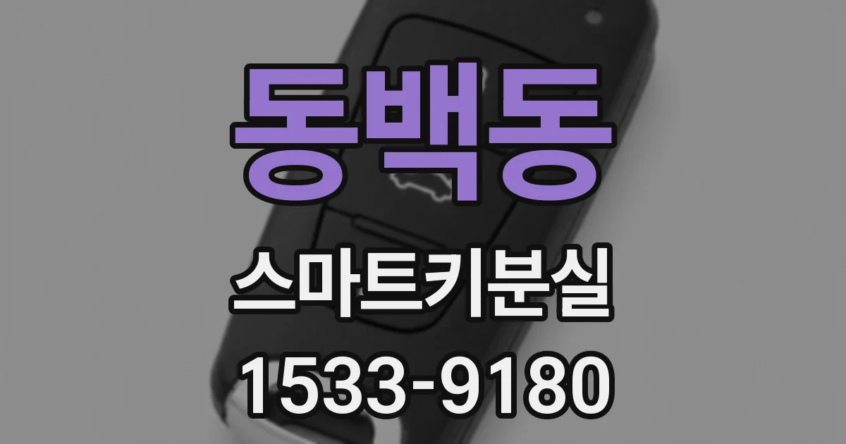동백동 스마트키분실