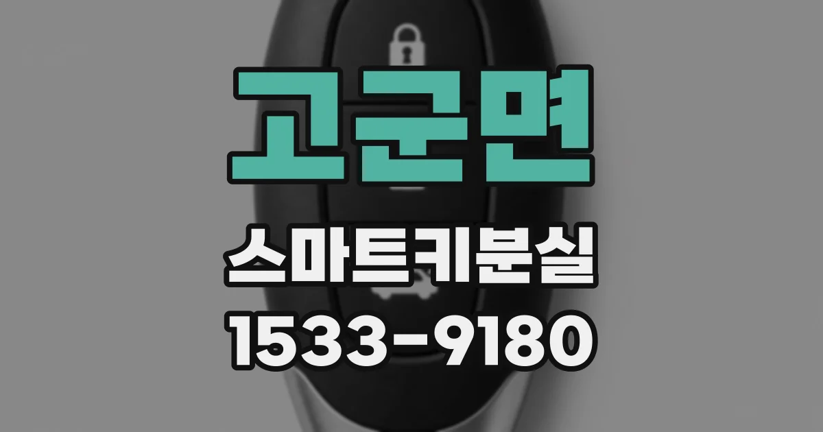 고군면 스마트키분실
