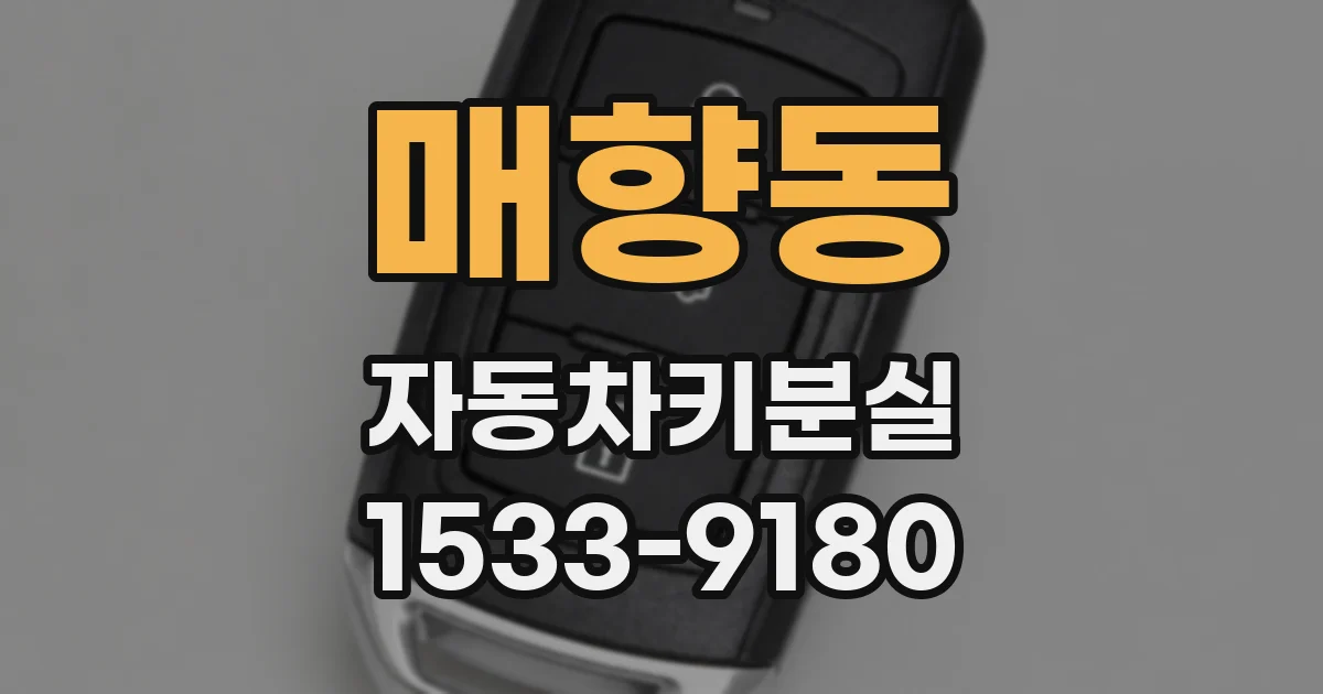 매향동 자동차키분실
