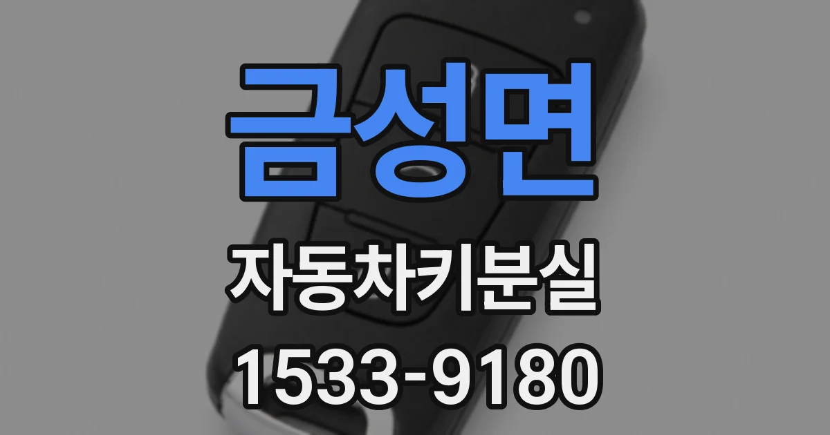 금성면 자동차키분실
