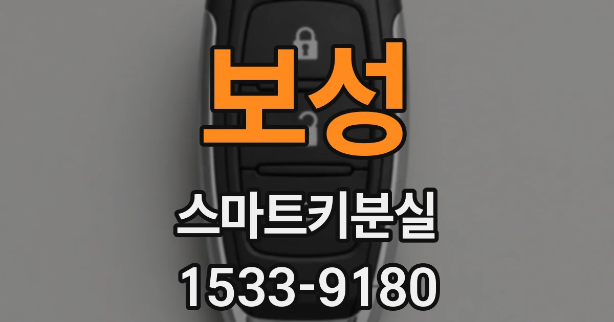 보성 스마트키분실