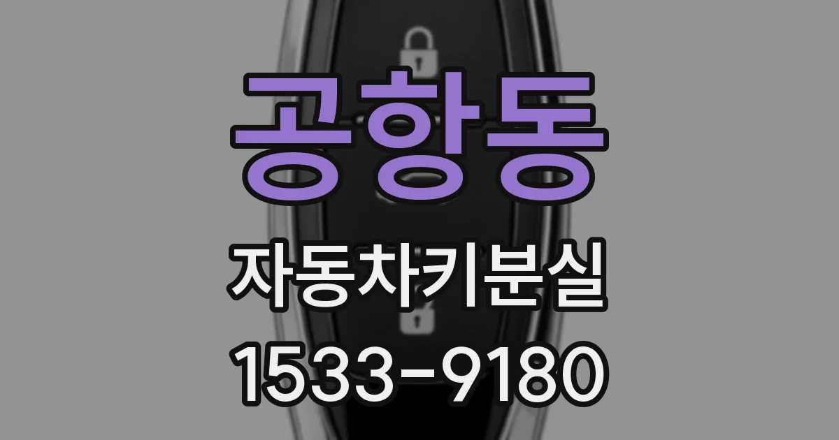 공항동 자동차키분실
