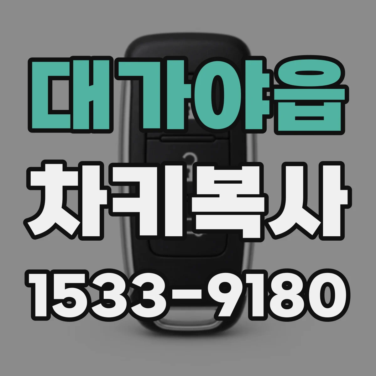대가야읍 차키복사