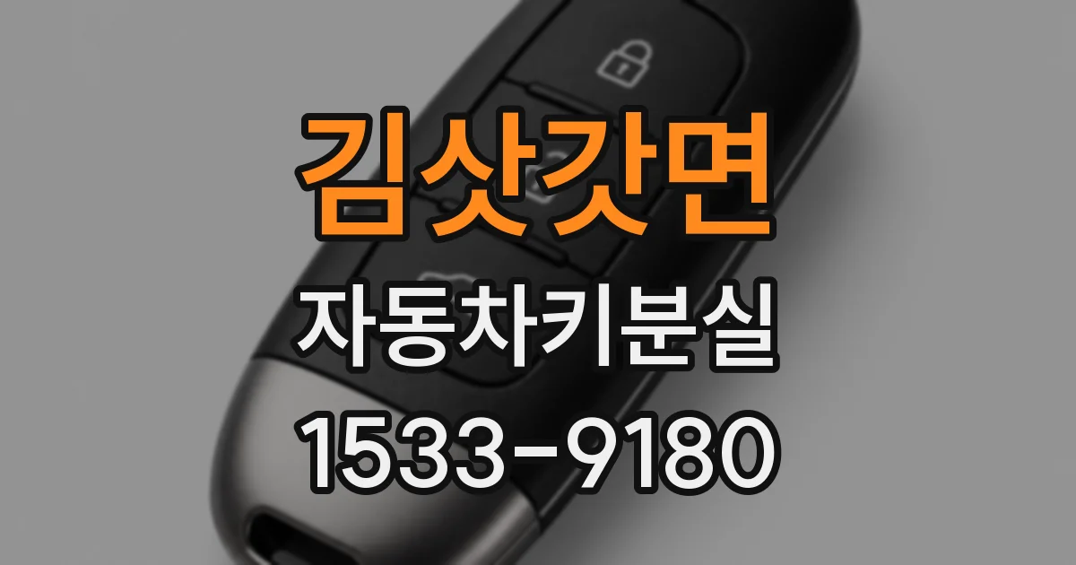 김삿갓면 자동차키분실