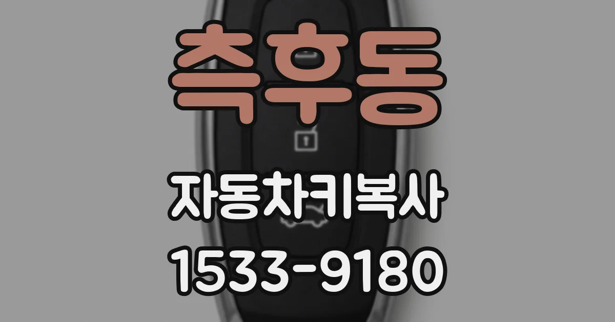 측후동 자동차키복사