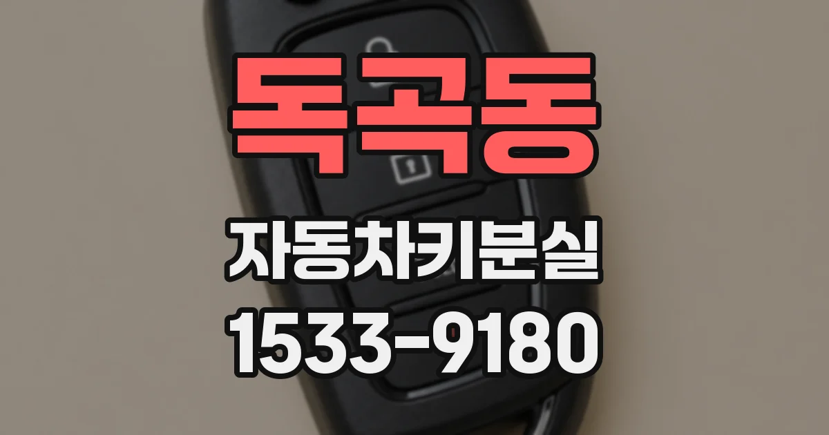 독곡동 자동차키분실