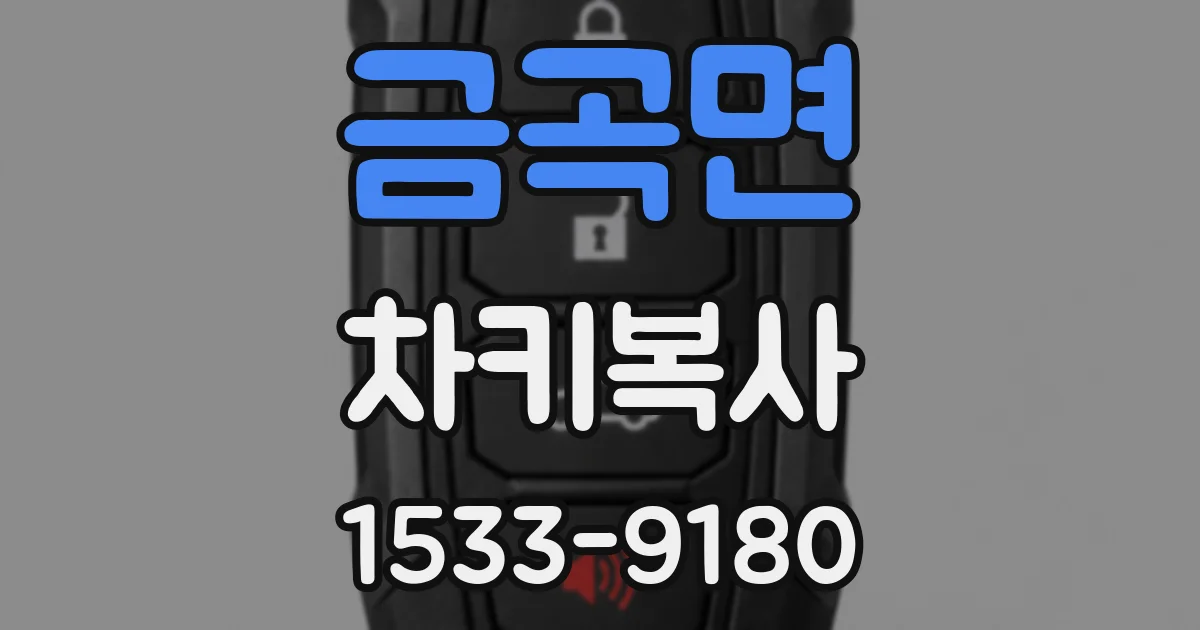 금곡면 차키복사