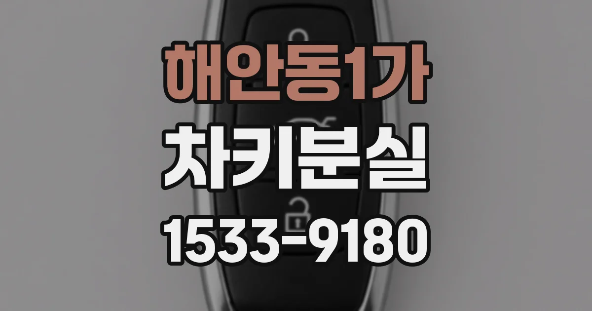 해안동1가 차키분실
