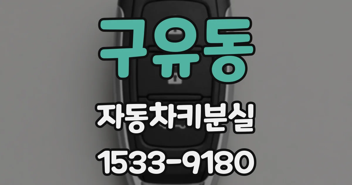 구유동 자동차키분실