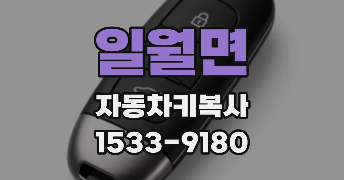 일월면 자동차키복사