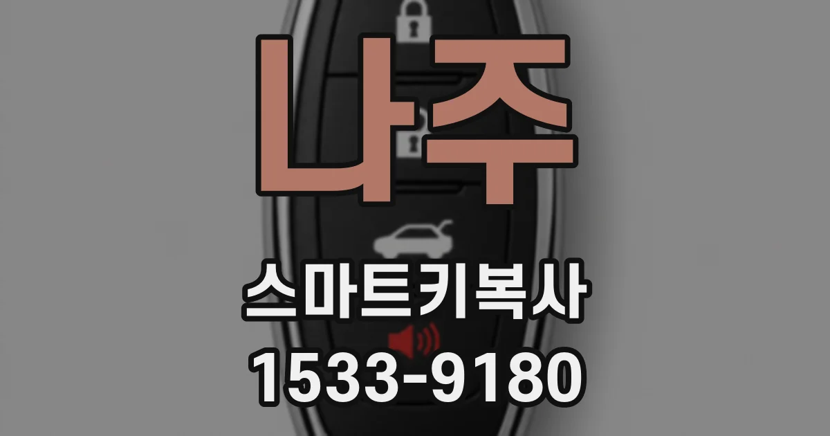 나주 스마트키복사