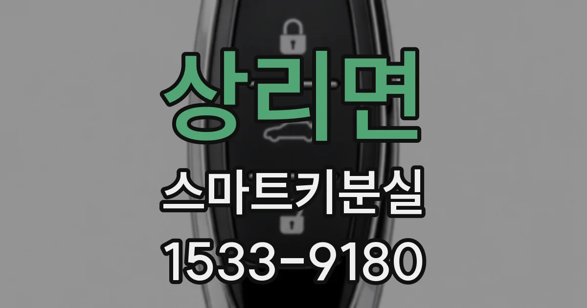 상리면 스마트키분실