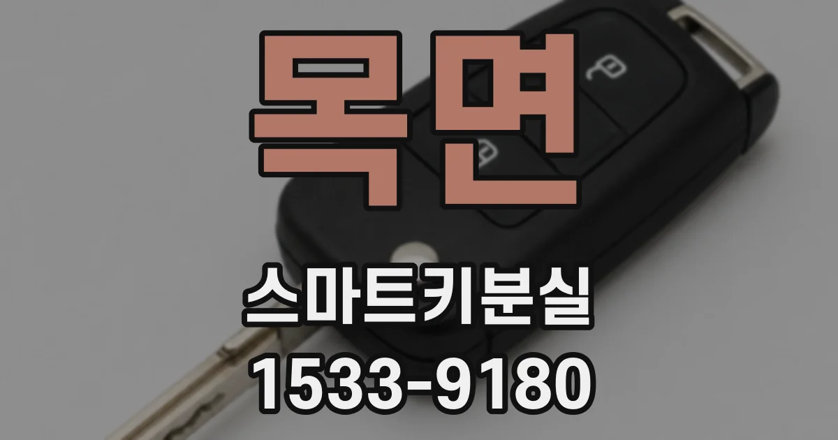목면 스마트키분실