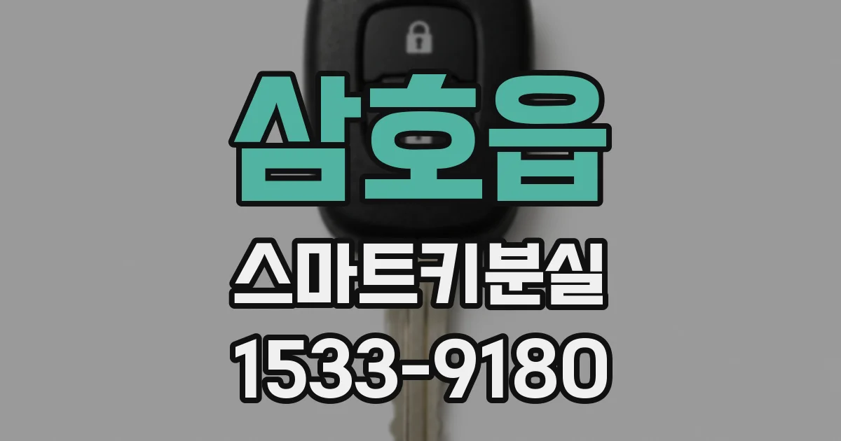 삼호읍 스마트키분실