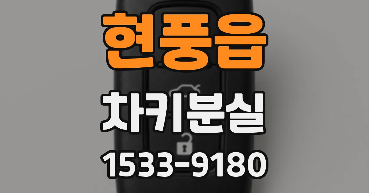 현풍읍 차키분실