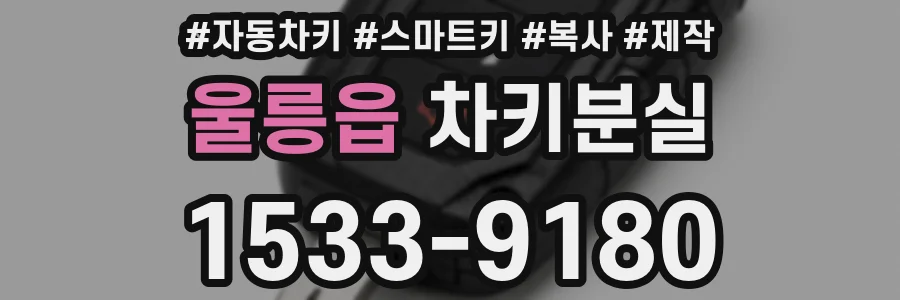 울릉읍 차키분실