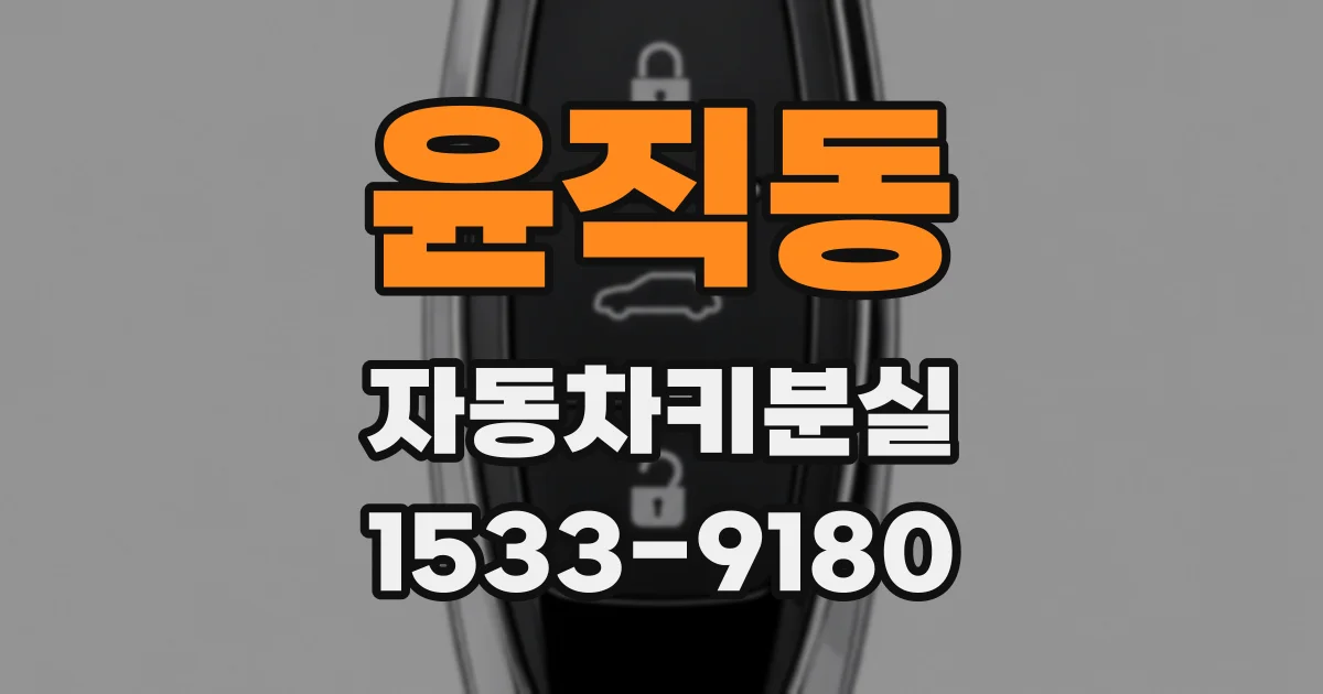 윤직동 자동차키분실