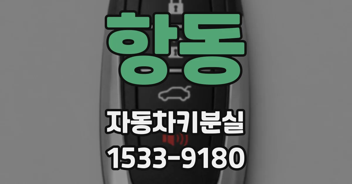 항동 자동차키분실