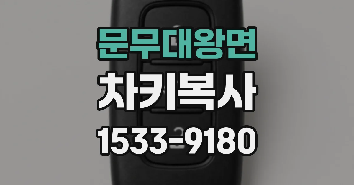 문무대왕면 차키복사
