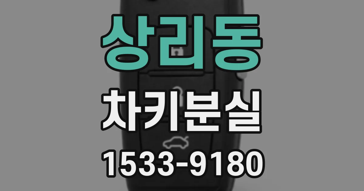 상리동 차키분실