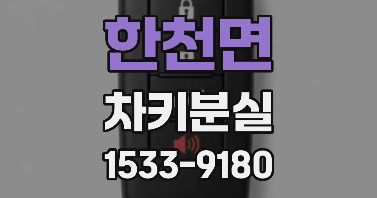 한천면 차키분실