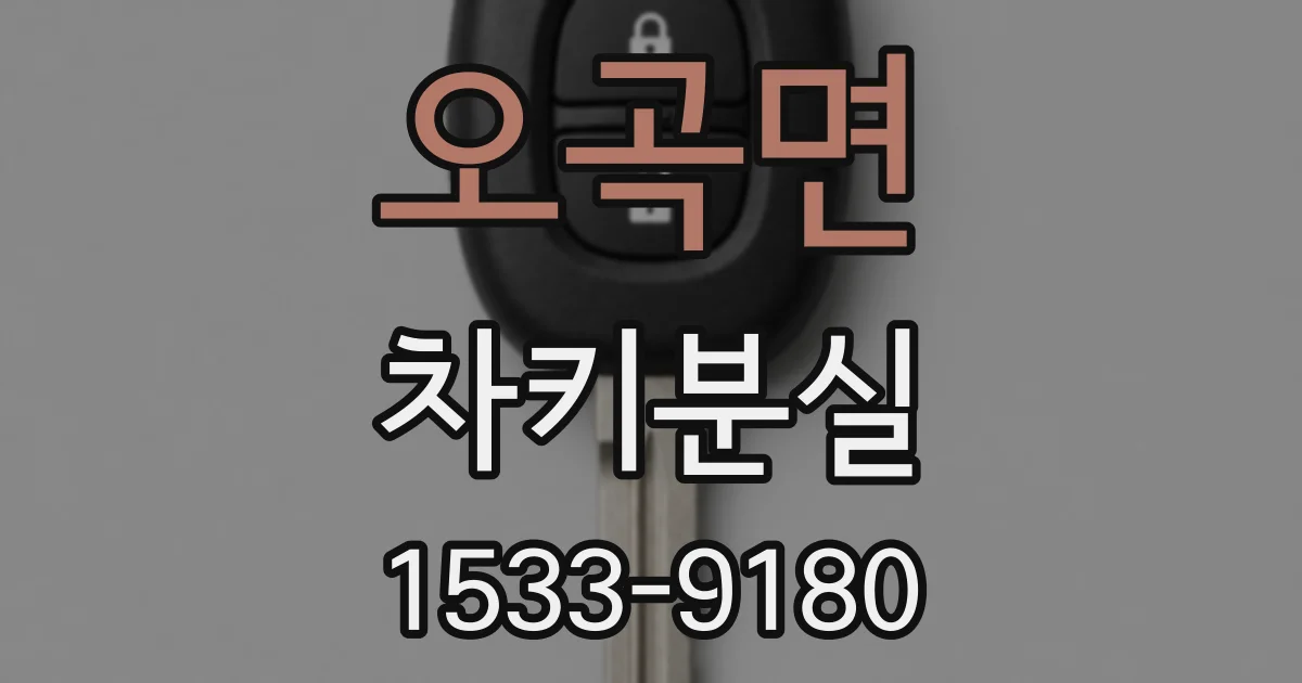 오곡면 차키분실